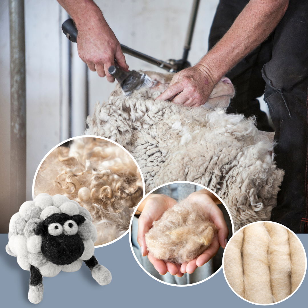 6 Processes for Harm-Free Wool Transformation