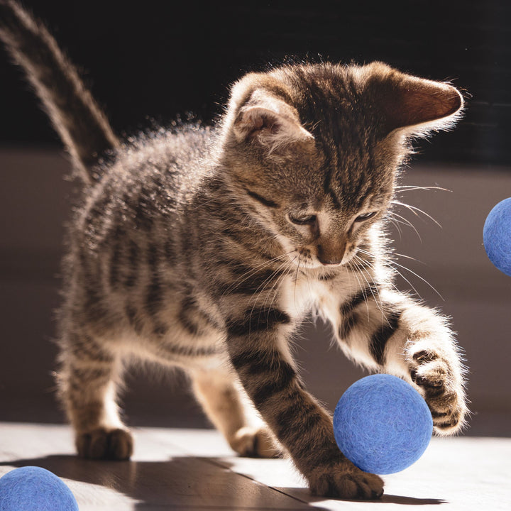 M&W Cat Toy Balls