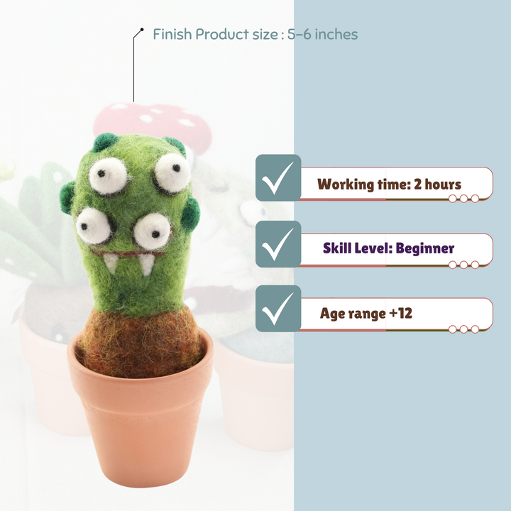 Needle Felting Eye Plant Kit