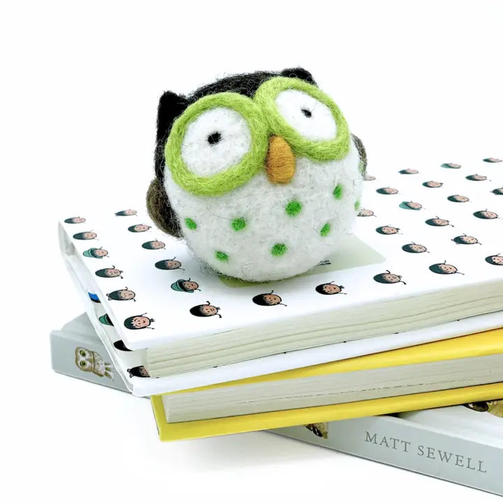 Needle Felting Owl Kit – Woolbuddy Beginner Wool Craft Set for Cute Felt Animals