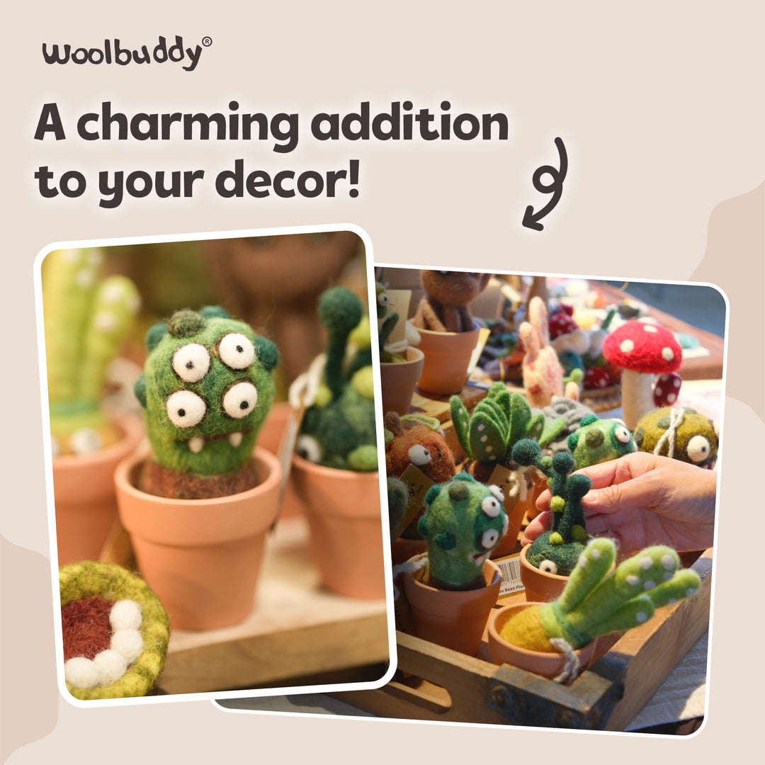 Needle Felting Eye Plant Kit for Beginners | Woolbuddy