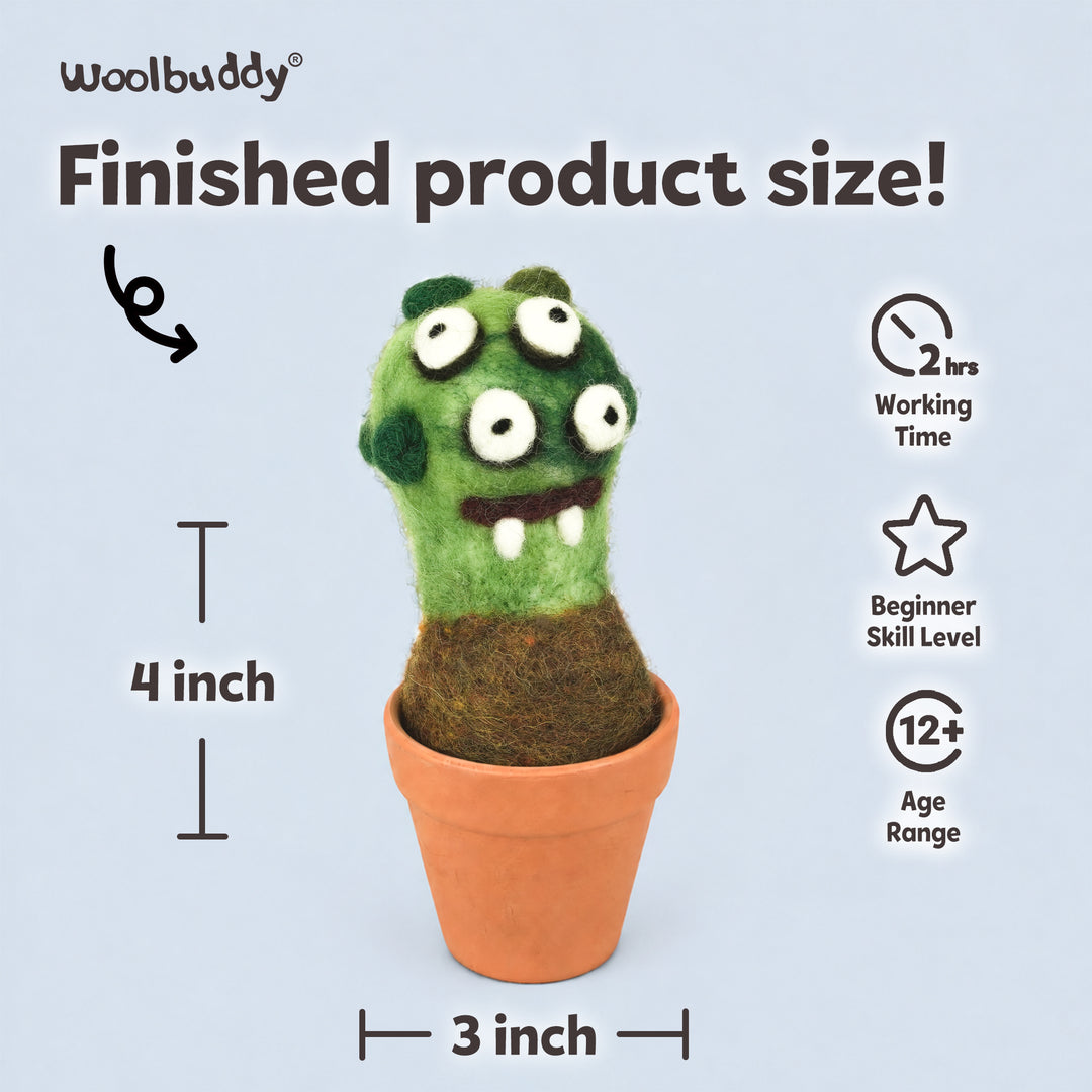 Needle Felting Eye Plant Kit for Beginners | Woolbuddy