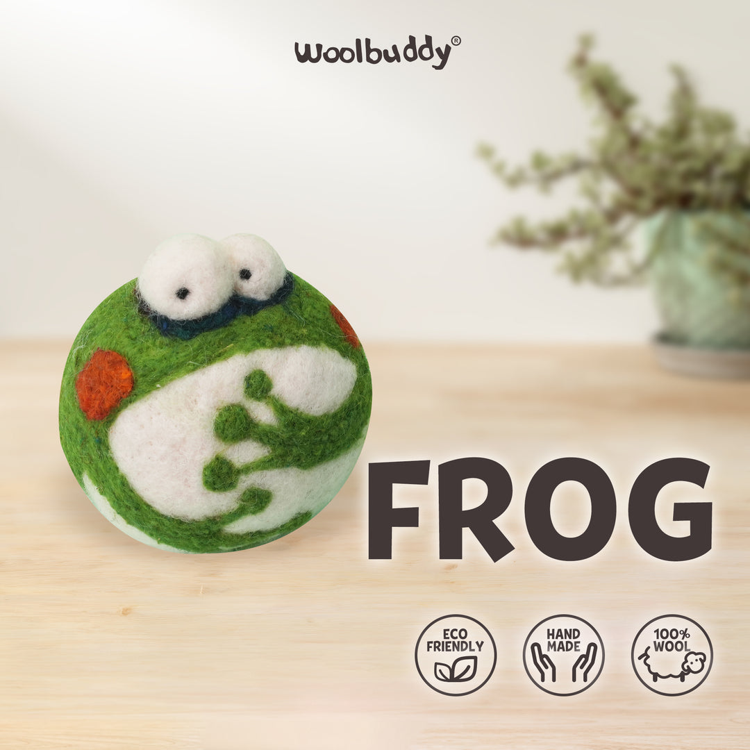 Needle Felting Frog Kit for Beginners | Woolbuddy