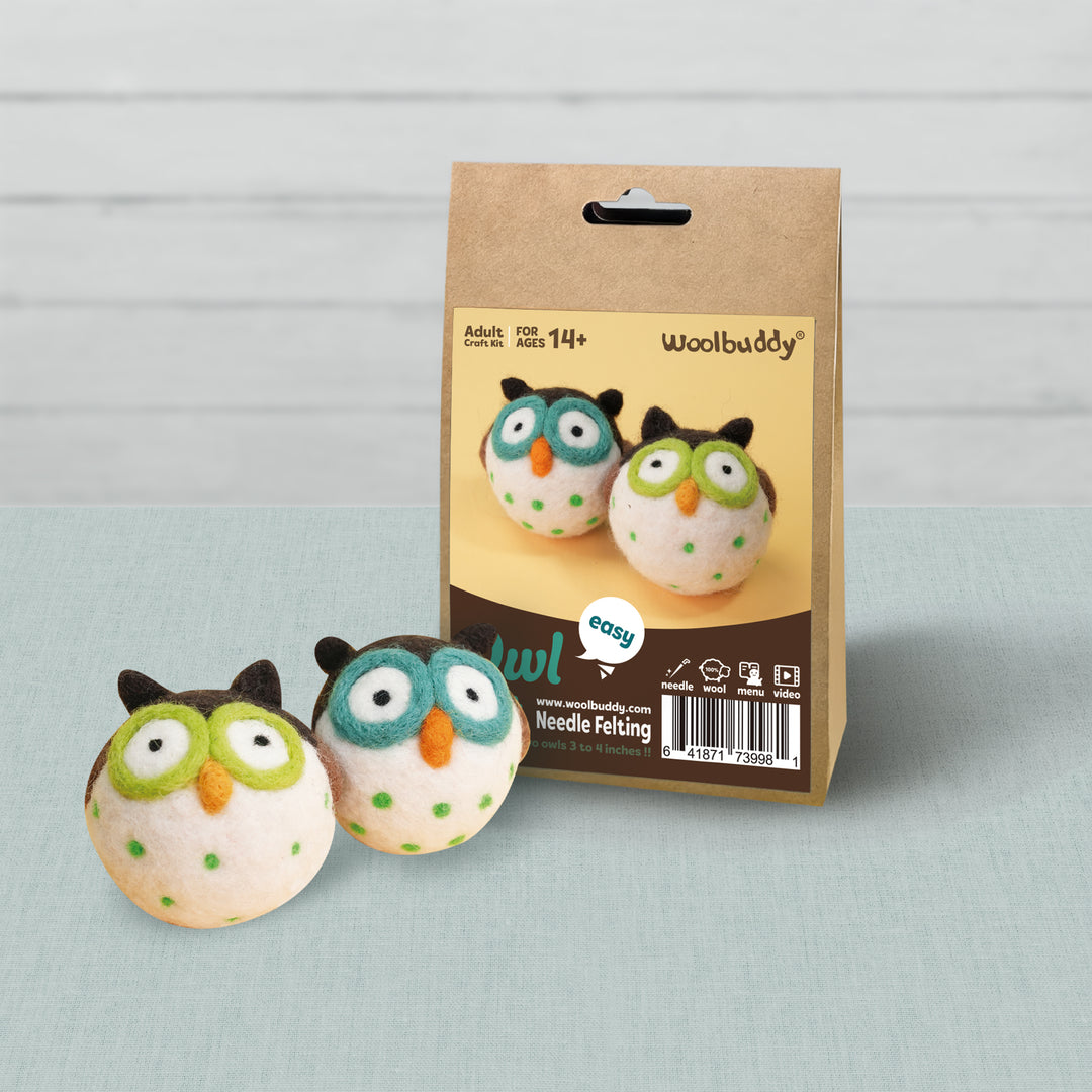 Needle Felting Owl Kit for Beginners | Woolbuddy