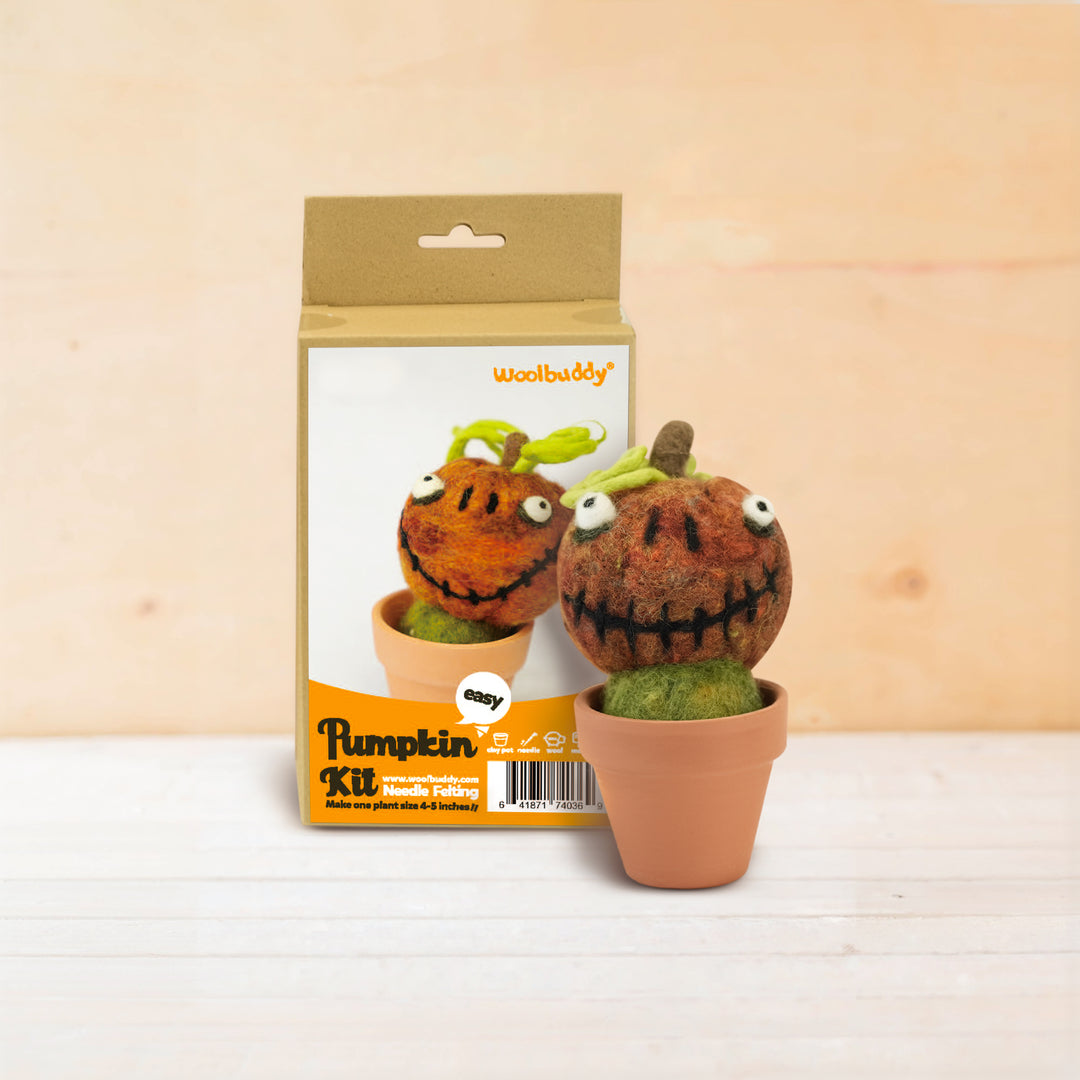 DIY Needle Felting Pumpkin Kit for Fall | Woolbuddy