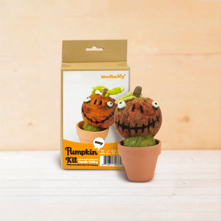DIY Needle Felting Pumpkin Kit for Fall | Woolbuddy