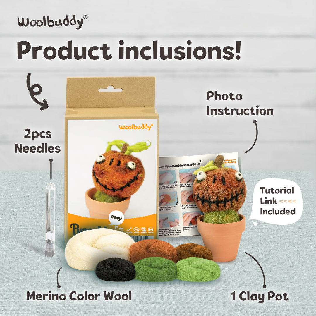 DIY Needle Felting Pumpkin Kit for Fall | Woolbuddy