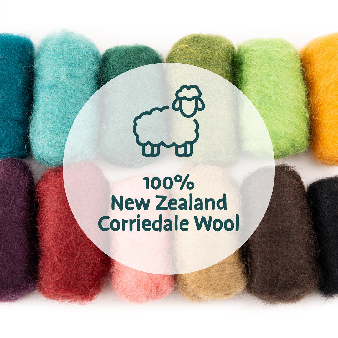 Needle Felting Dinosaur Kit for Beginners | Woolbuddy