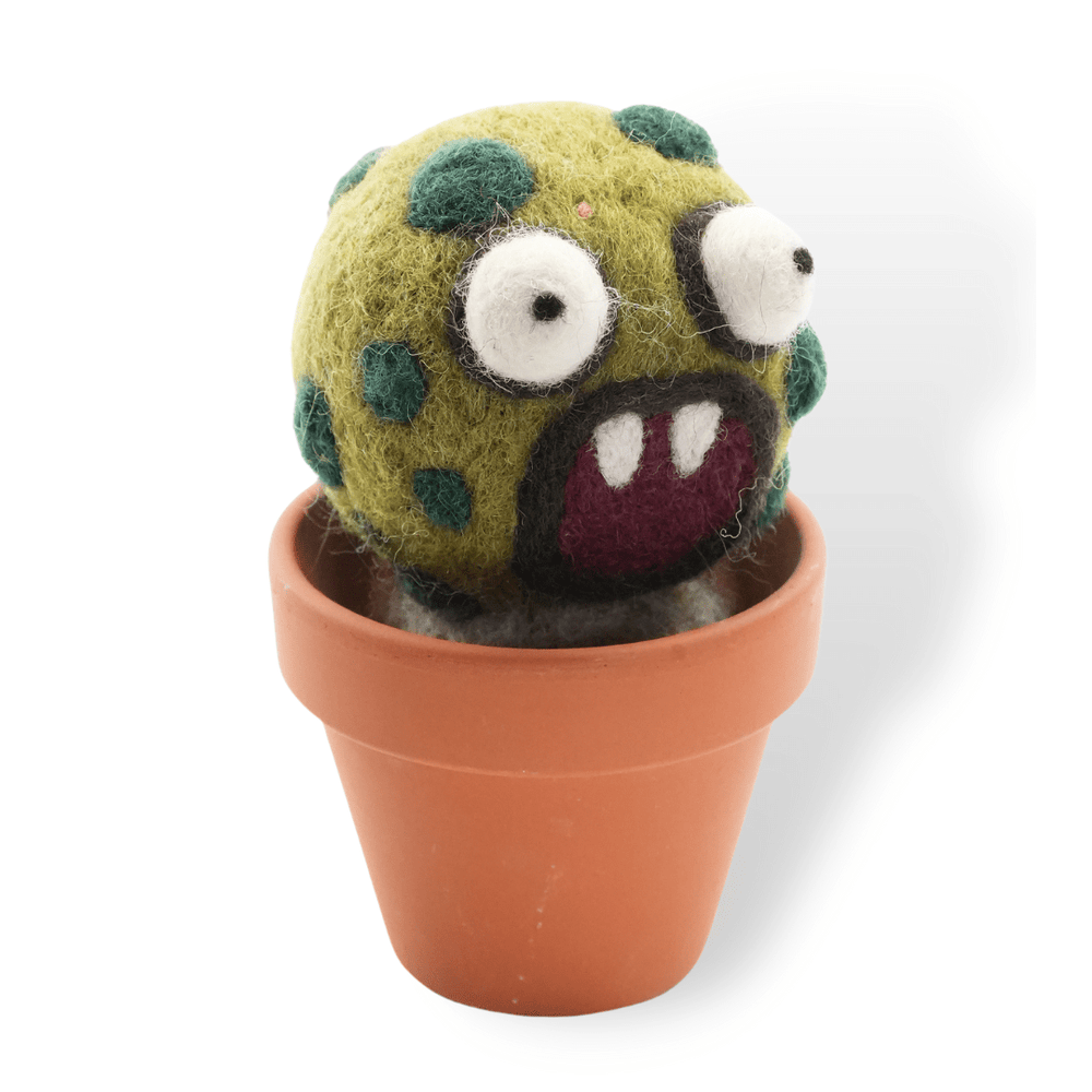 Barrel Monster Plant with Clay Pot - Woolbuddy
