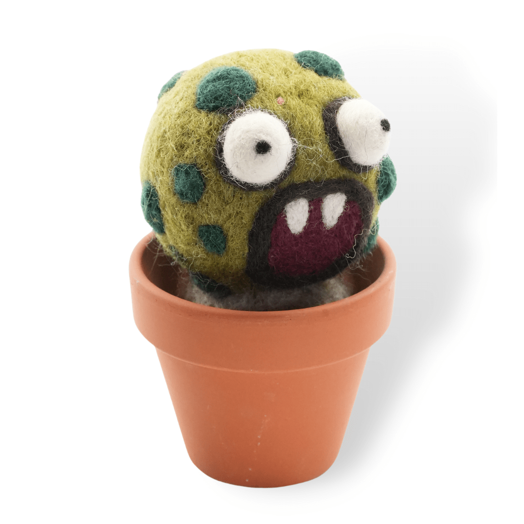 Barrel Monster Plant with Clay Pot - Woolbuddy