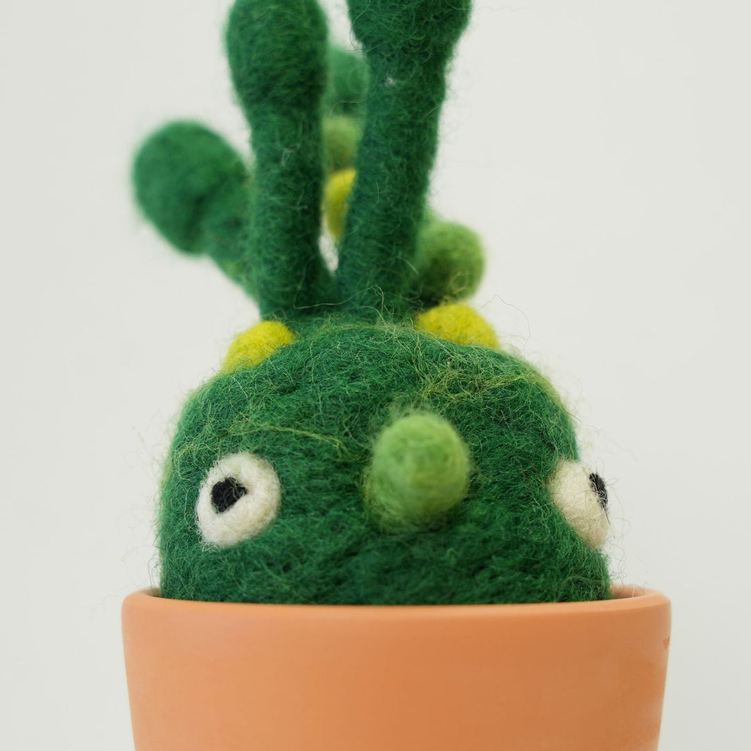 Bean-Bean Monster Plant with Clay Pot – Handmade Wool Felt Fantasy Creature Décor | Woolbuddy