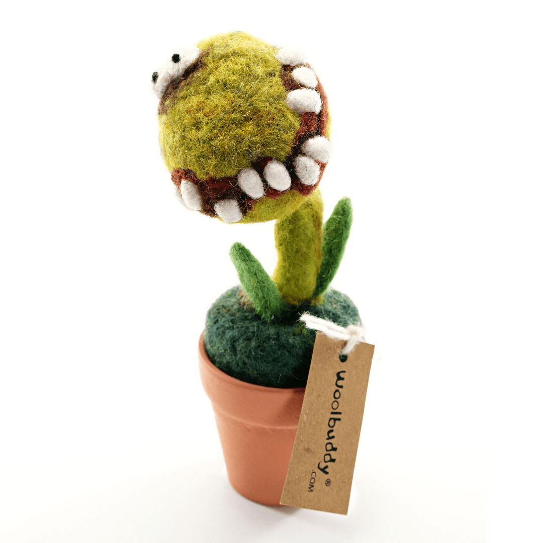 Bob Monster Plant with Clay Pot - Woolbuddy