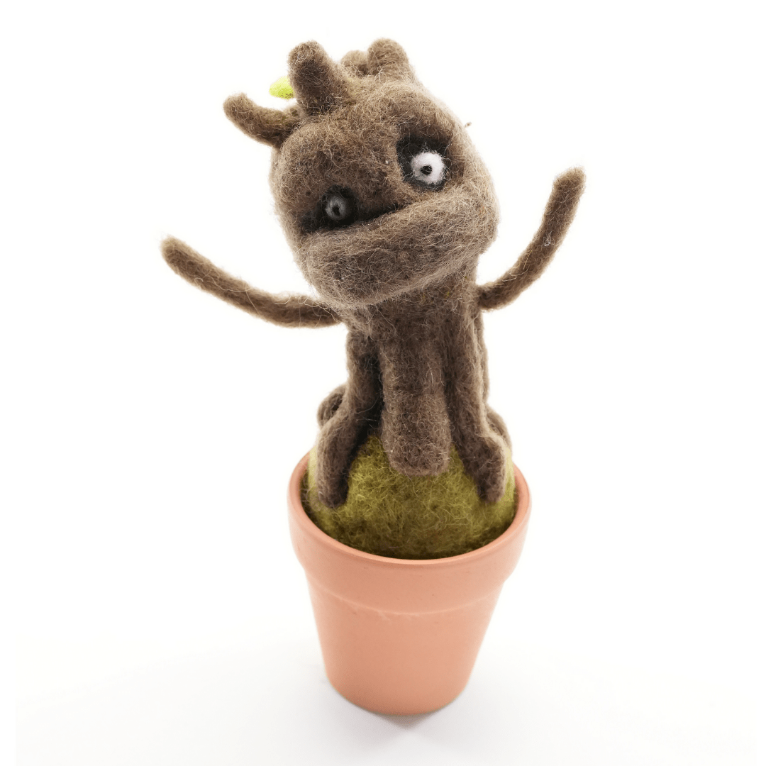 Chree Monster Plant with Clay Pot - Woolbuddy