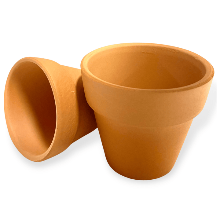 Clay Pot - Woolbuddy