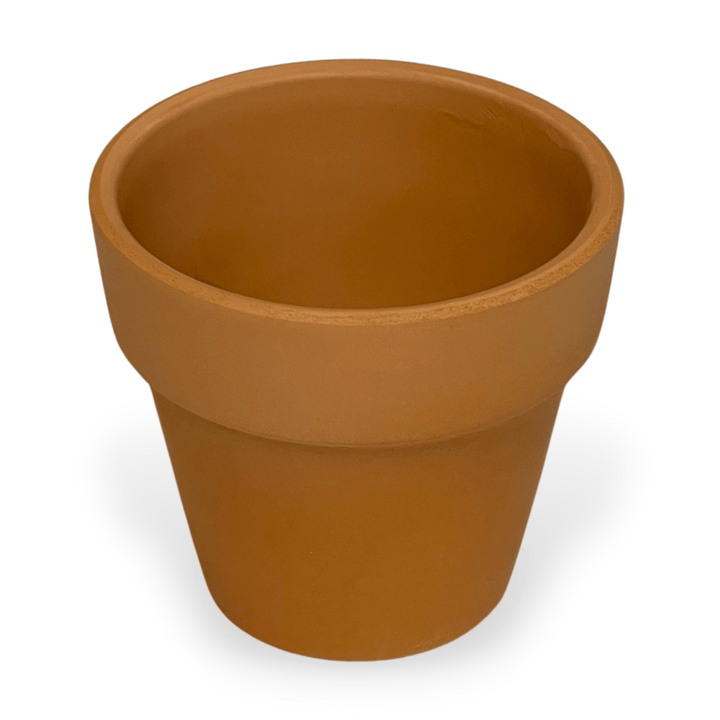 Clay Pot - Woolbuddy