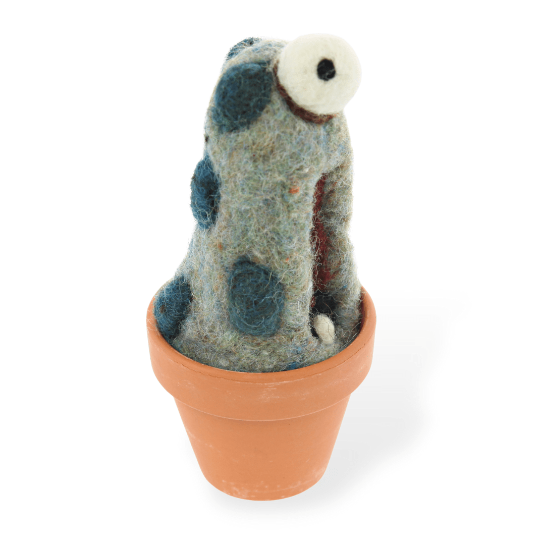 Cyclopes Monster Plant with Clay Pot - Woolbuddy