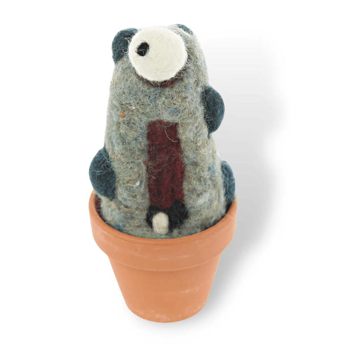 Cyclopes Monster Plant with Clay Pot - Woolbuddy