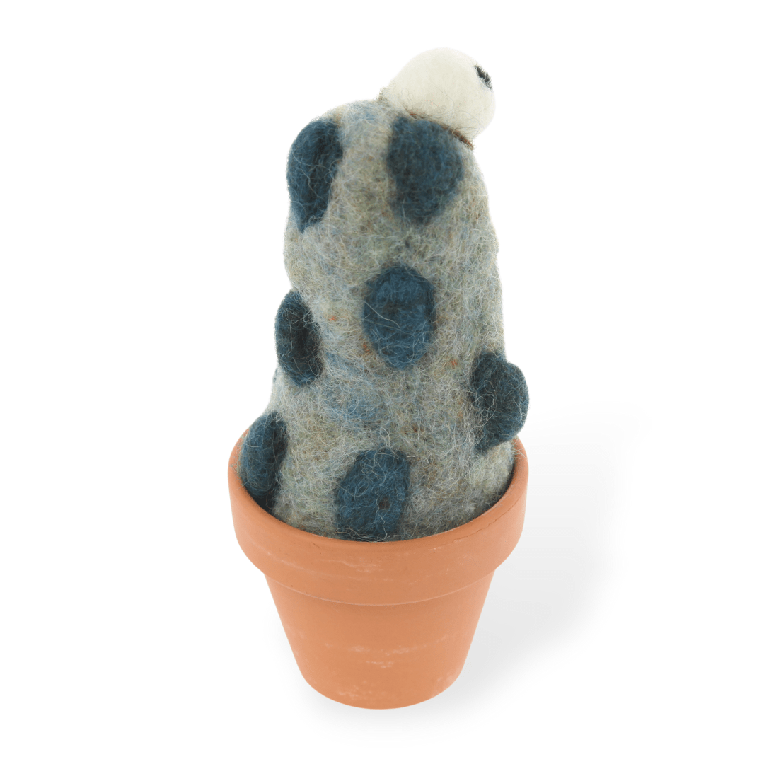 Cyclopes Monster Plant with Clay Pot - Woolbuddy