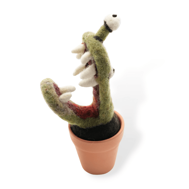 Flytrap Monster Plant with Clay Pot - Woolbuddy