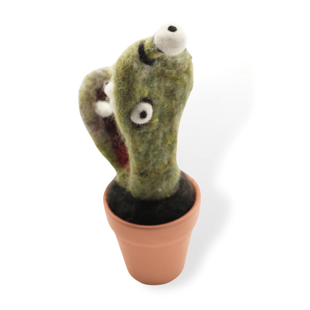 Flytrap Monster Plant with Clay Pot - Woolbuddy