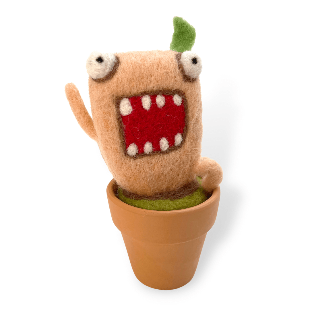 Momo Monster Plant with Clay Pot - Woolbuddy