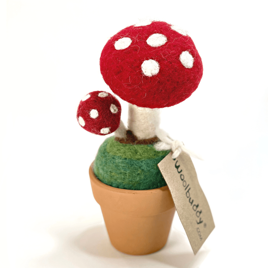 Mushroom Monster Plant with Clay Pot – Handmade Wool Felt Plant Decora –  Woolbuddy
