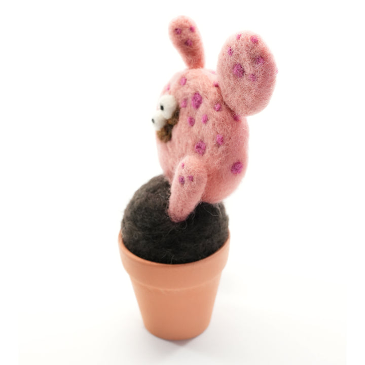 Yuka Monster Plant with Clay Pot