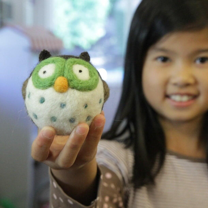 Needle Felting Starter Kit – All-in-One Woolbuddy Set for Beginners & Creative Projects