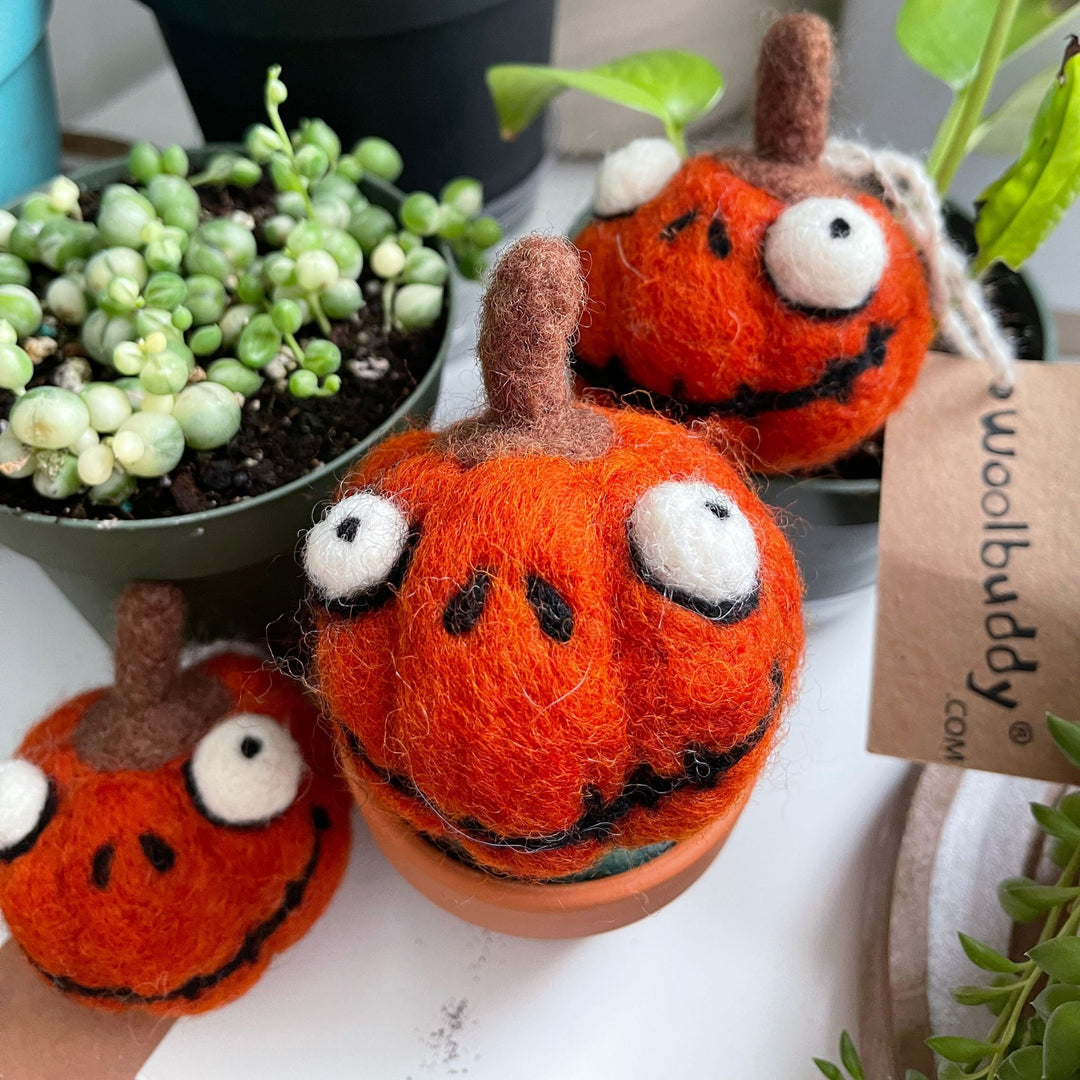 needle felted pumpkin faces