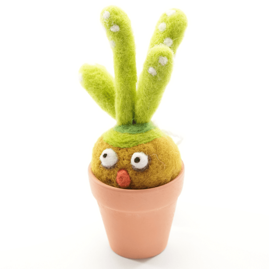 Nomi Monster Plant with Clay Pot - Woolbuddy