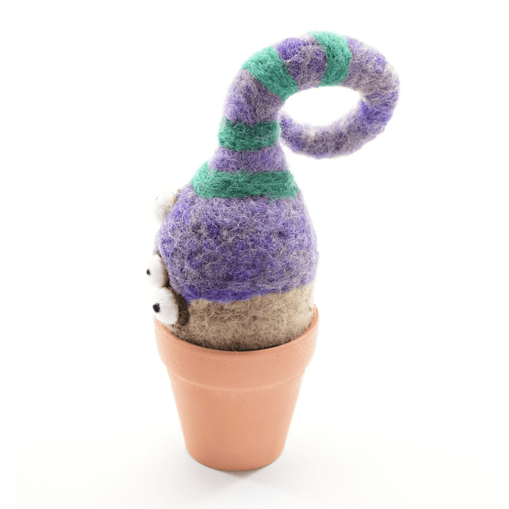 Onion Monster Plant with Clay Pot - Woolbuddy