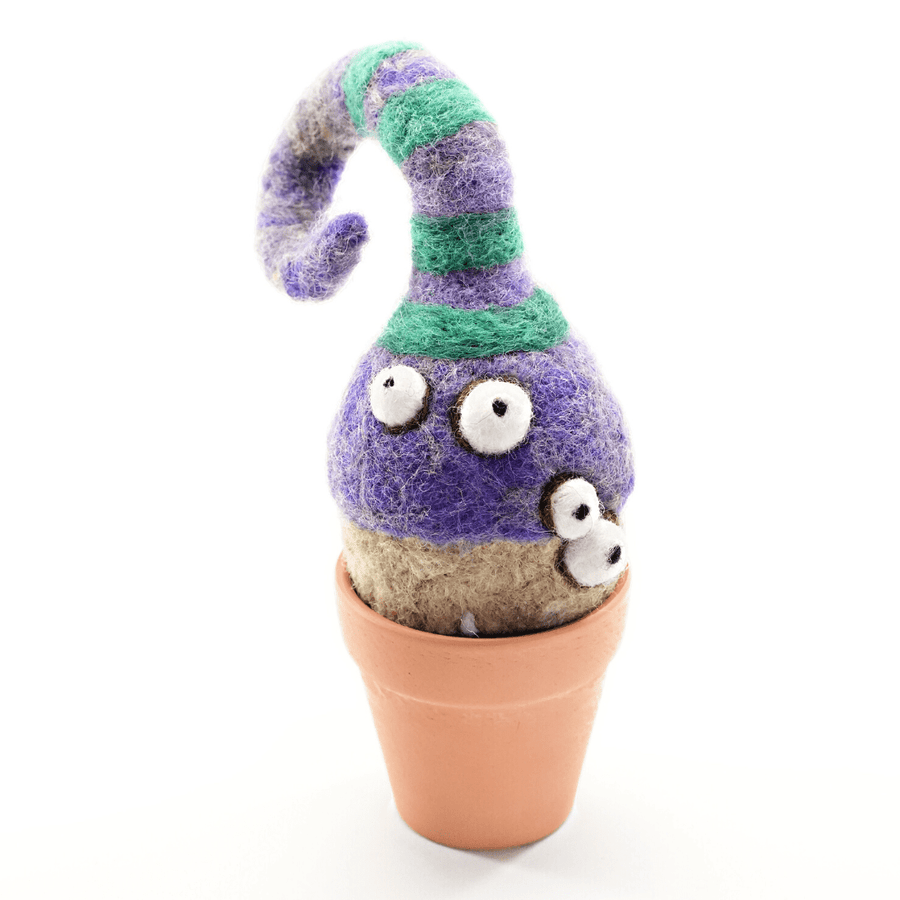 Onion Monster Plant with Clay Pot - Woolbuddy