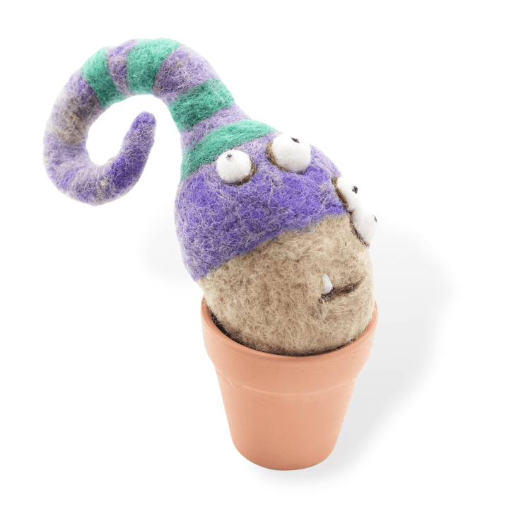 Onion Monster Plant with Clay Pot - Woolbuddy