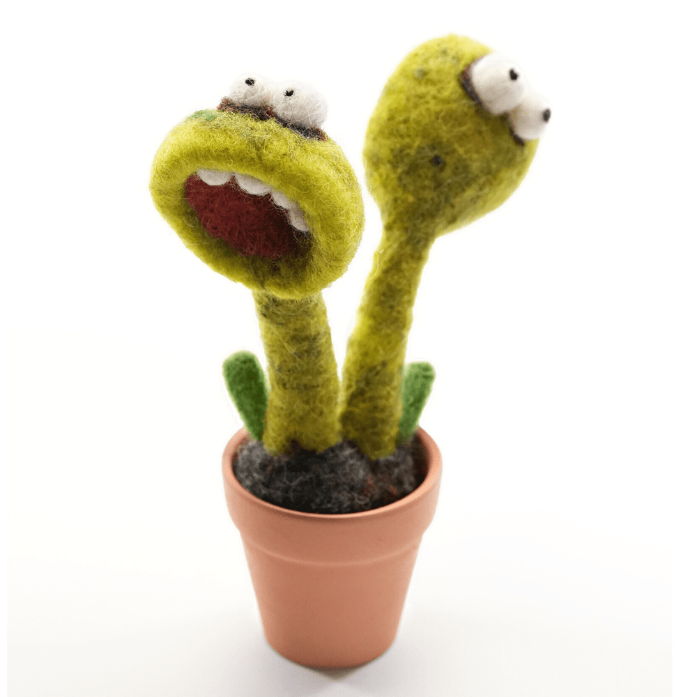 Pooka Monster Plant with Clay Pot - Woolbuddy