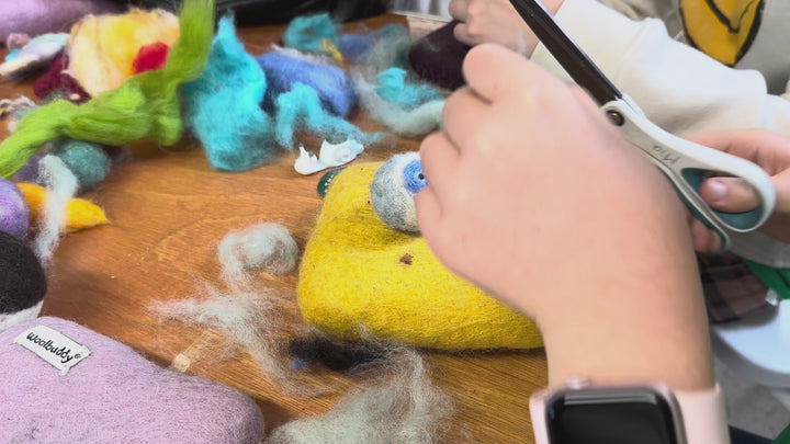 Needle Felting Owl Kit for Beginners | Woolbuddy