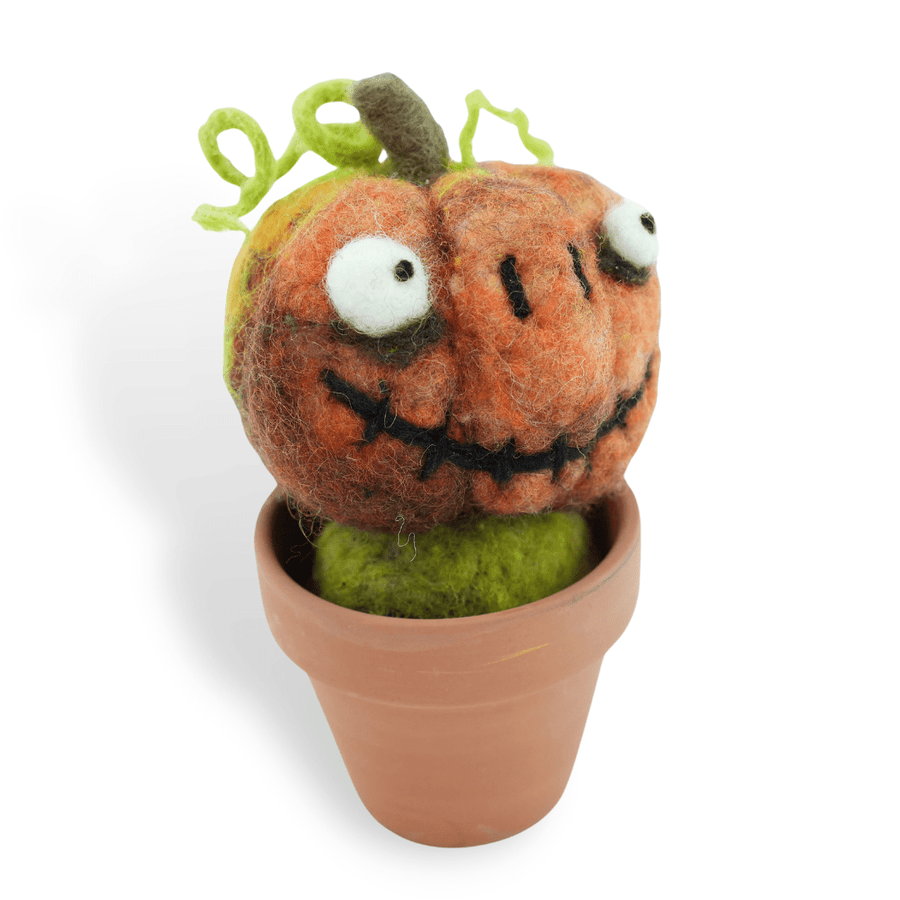 Pumpkin Monster Plant with Clay Pot - Woolbuddy