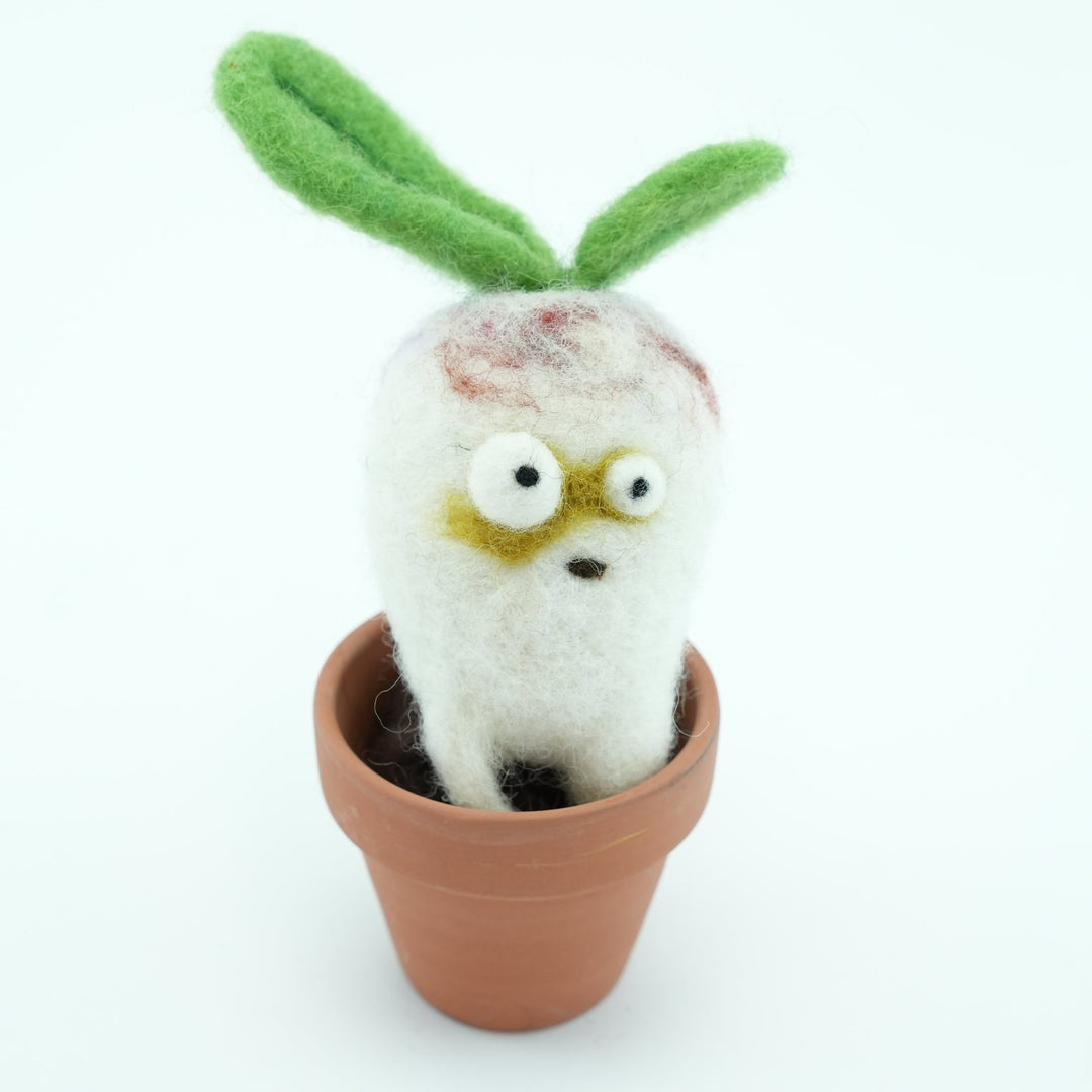 Radish Monster Plant with Clay Pot - Woolbuddy