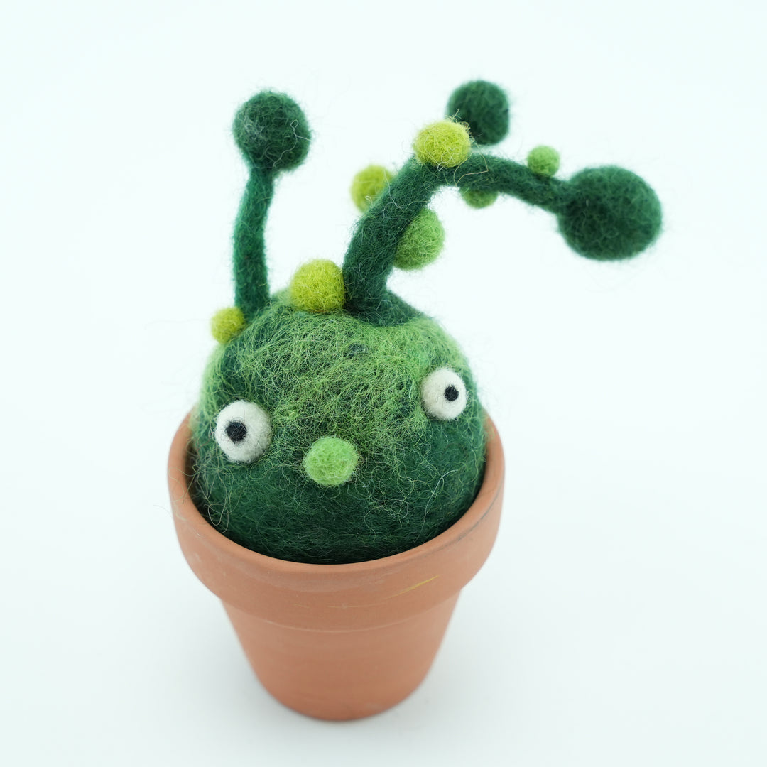 Bean-Bean Monster Plant with Clay Pot – Handmade Wool Felt Fantasy Creature Décor | Woolbuddy