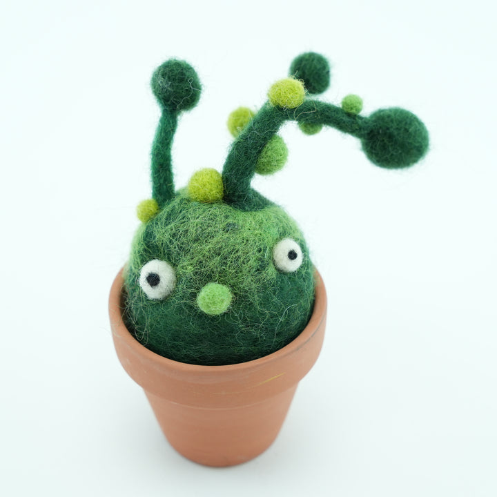 Bean-Bean Monster Plant with Clay Pot – Handmade Wool Felt Fantasy Creature Décor | Woolbuddy