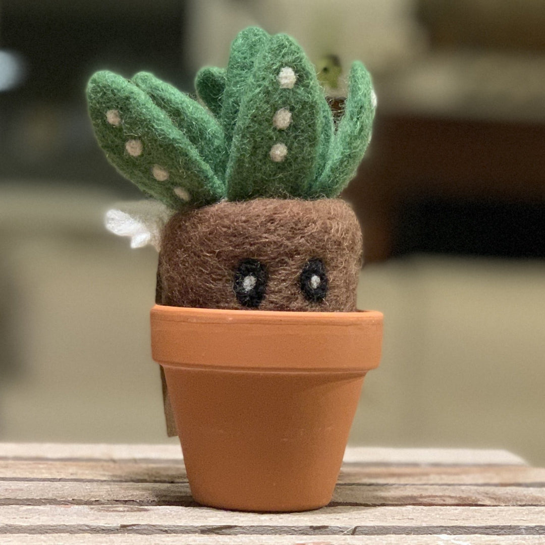 Sprout Monster Plant with Clay Pot - Woolbuddy