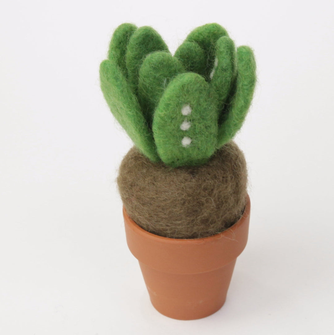 Sprout Monster Plant with Clay Pot - Woolbuddy