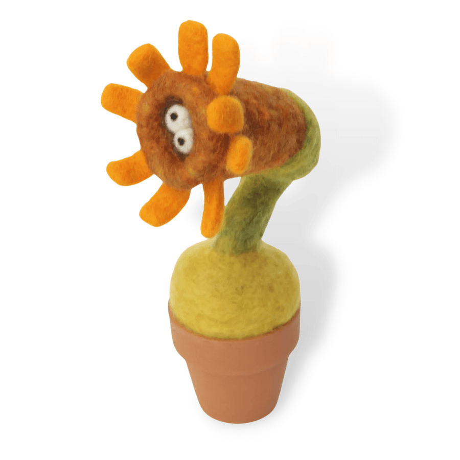 Sunflower Monster Plant with Clay Pot - Woolbuddy