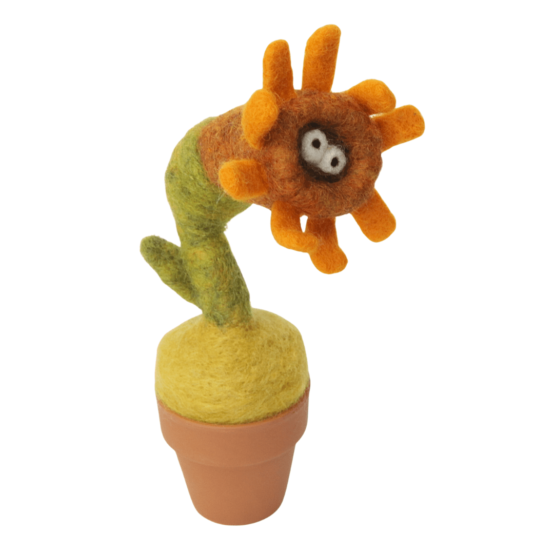 Sunflower Monster Plant with Clay Pot - Woolbuddy