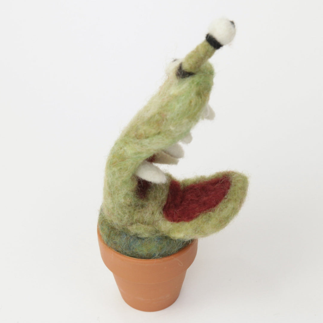 Venus Flytrap Monster Plant with Clay Pot - Woolbuddy