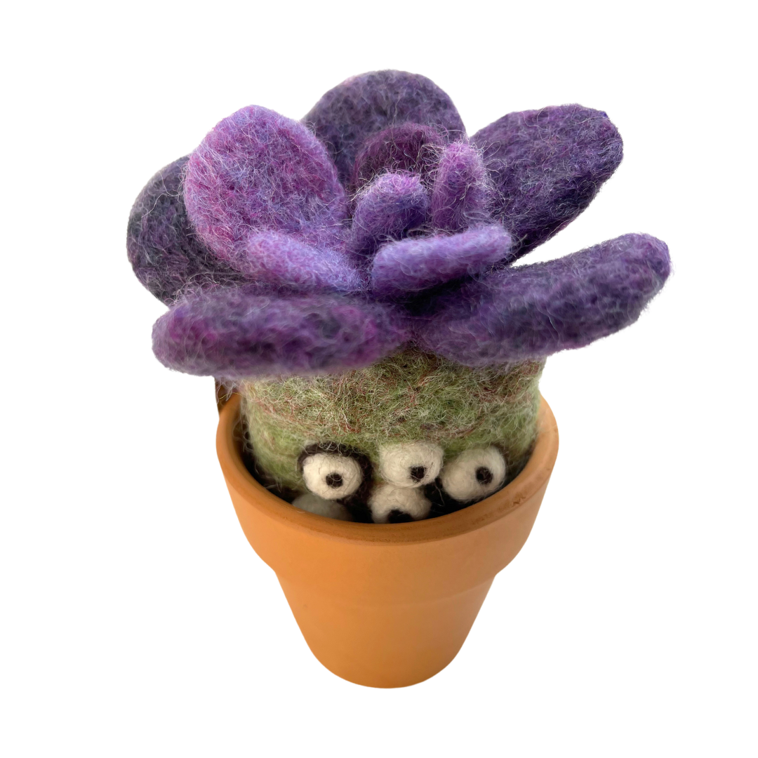Indigo (Monster Plant with clay pot)