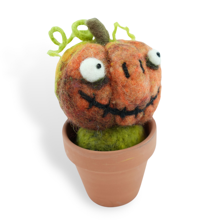 Pumpkin Monster Plant with Clay Pot